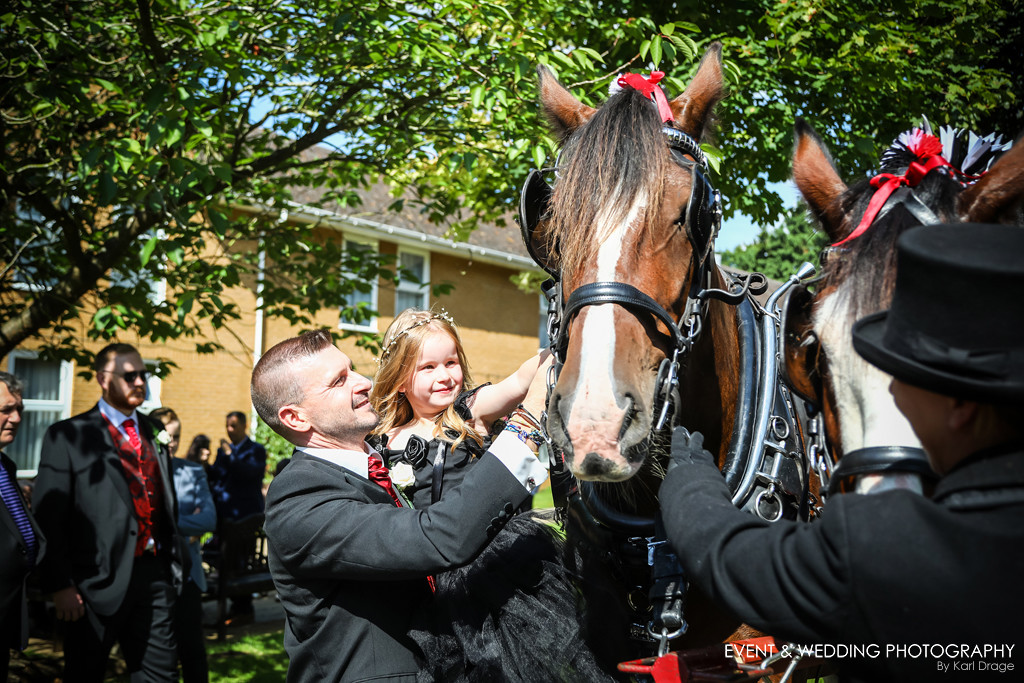 A loving pat for the shire horses after their work was done