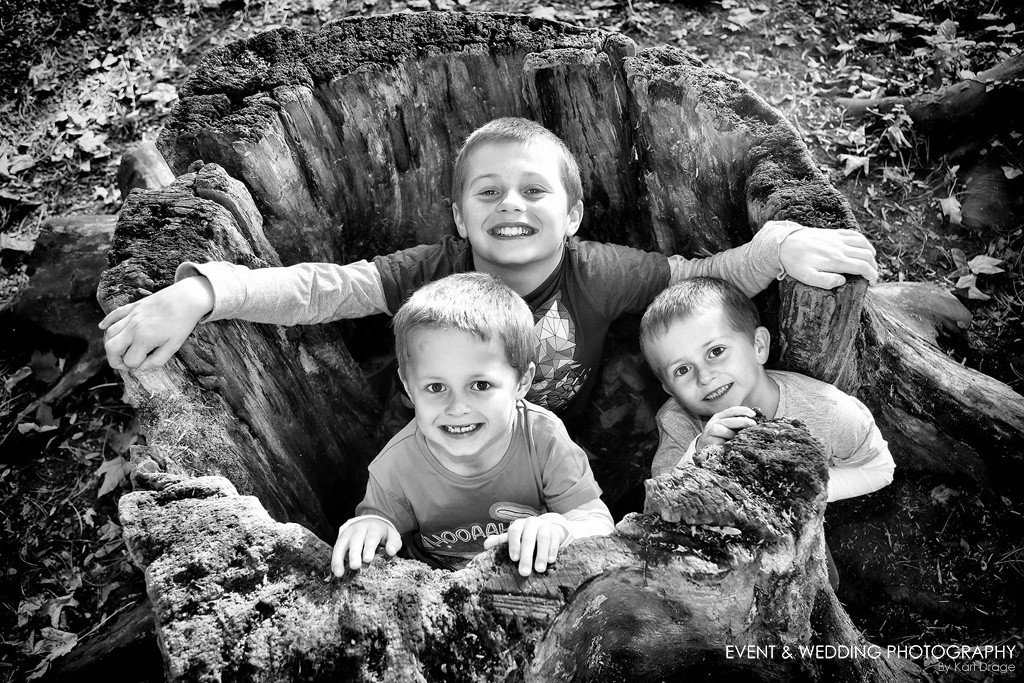 Boys in a hollowed-out tree stump at Sywell Country Park