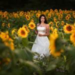 Bride in a field of sunflowers