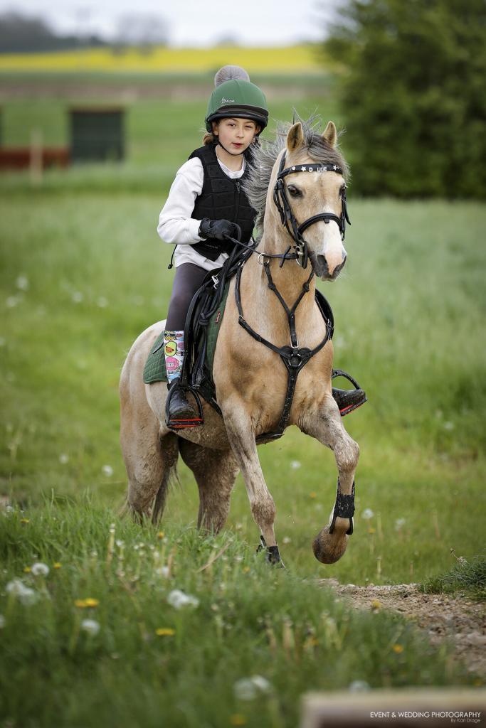 Pony and Rider Approach and Obstacle