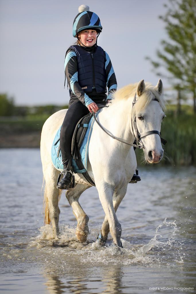 Grey horse in water