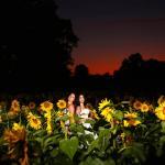 Two brides in a field of sunflowers as it gets dark