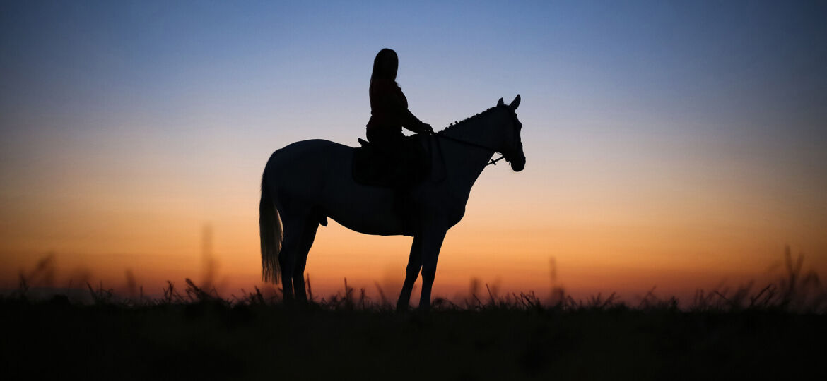 Silhouette shot of horse and rider