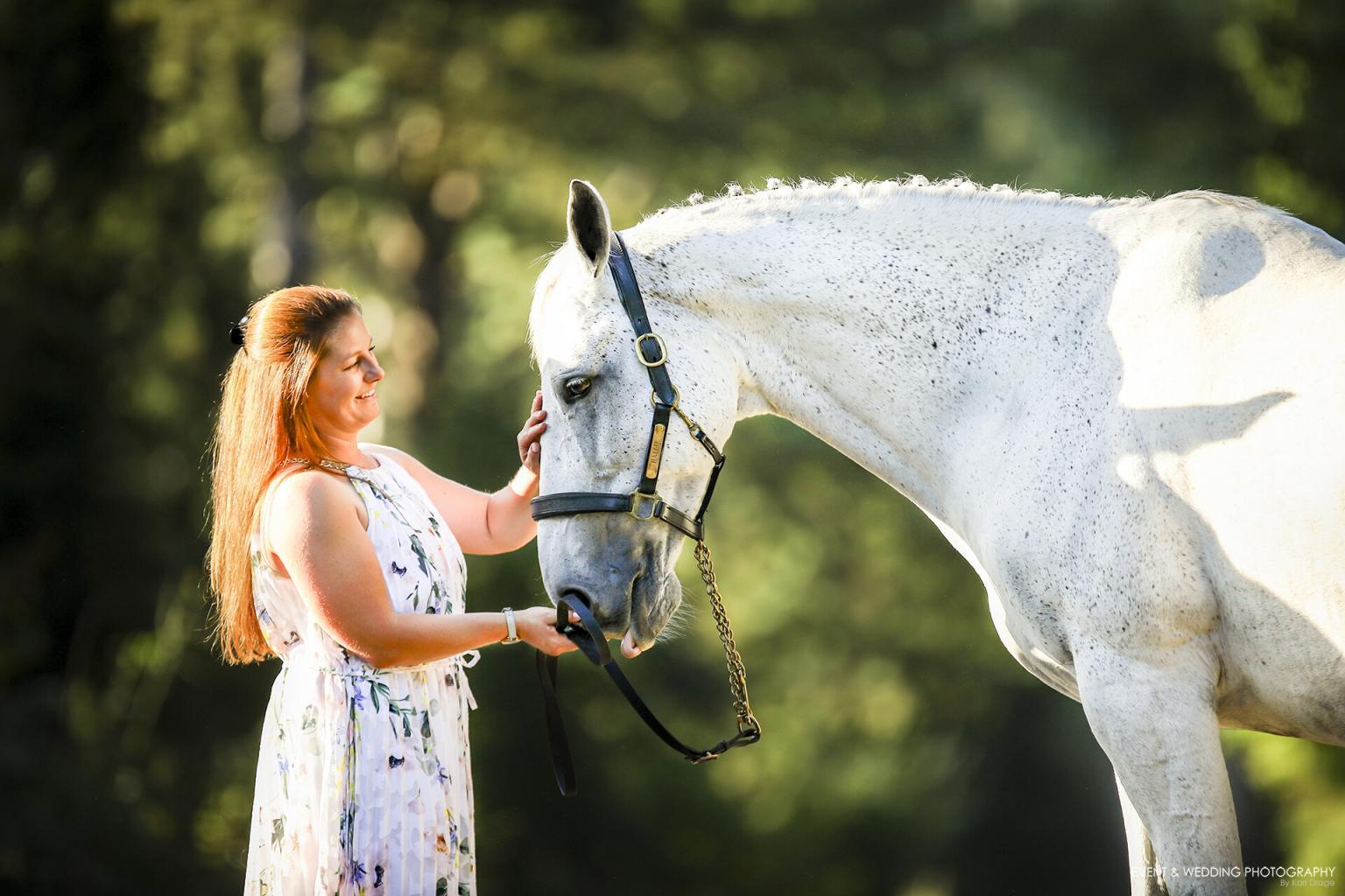 The Ultimate Equine Sunset Photo Shoot
