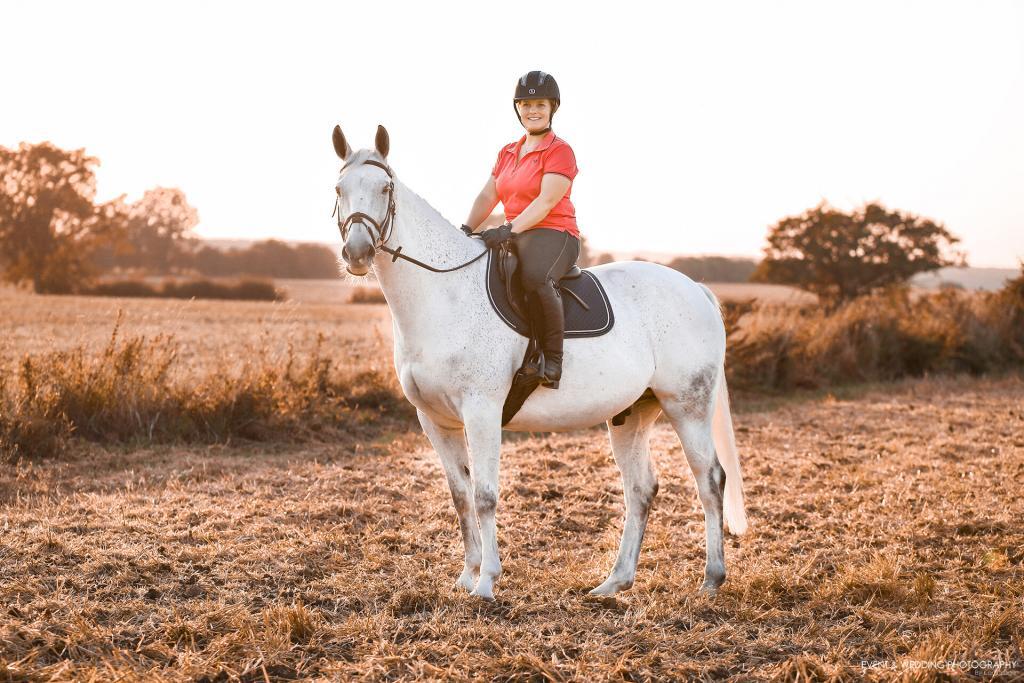 Backlit photo of a grey horse with mounted rider just before sunset