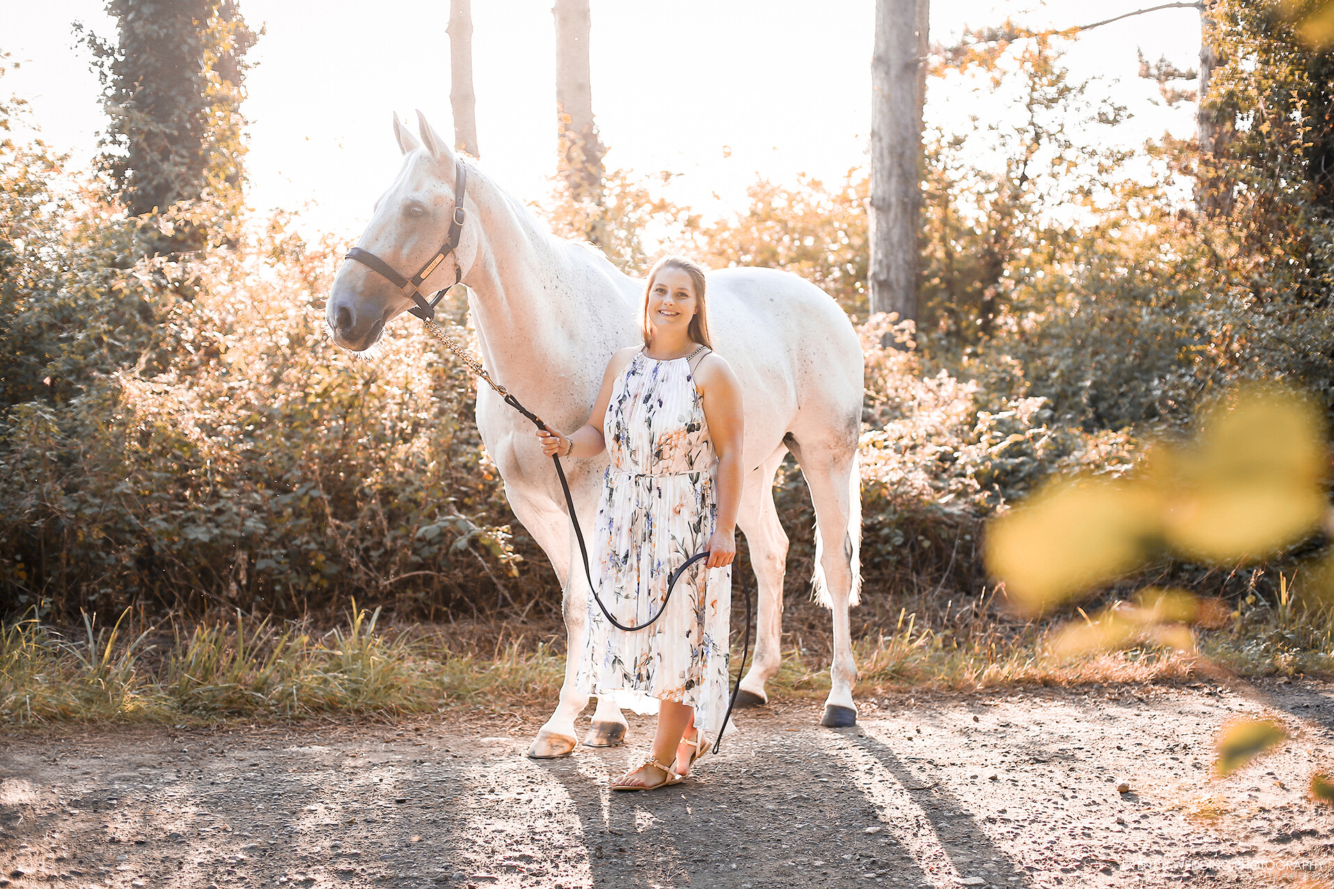 Backlit horse and rider in a dress with out-of-focus leaves in the foreground