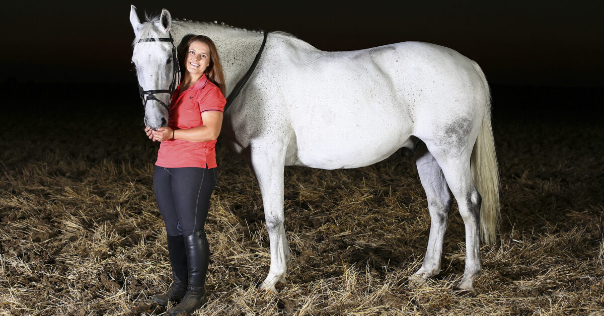The Ultimate Equine Sunset Photo Shoot