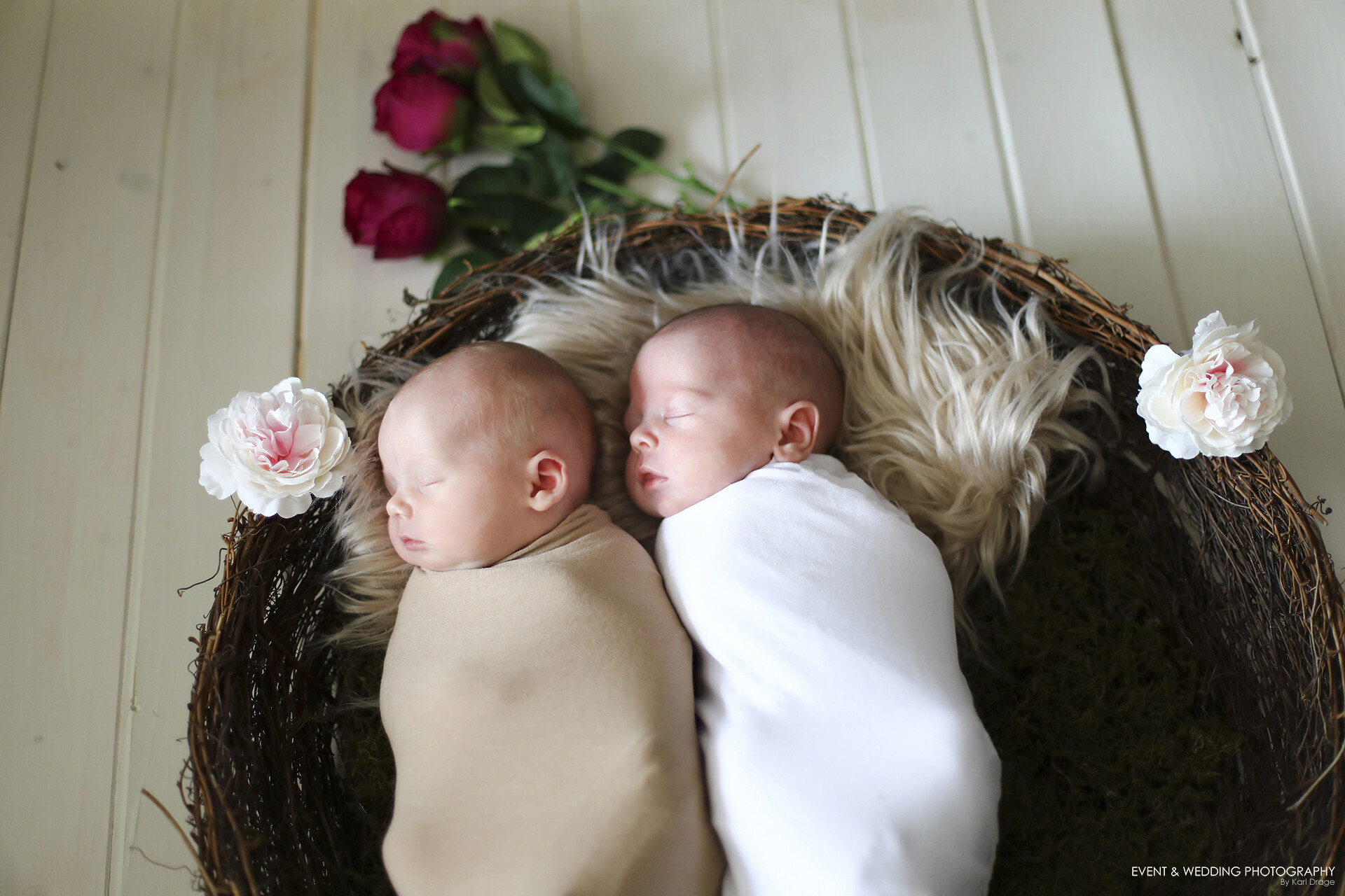 Newborn twin girls in a natural nest photo prop.