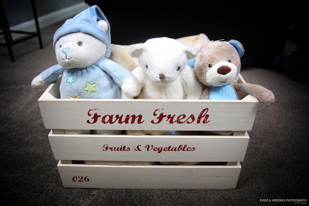 Farm fresh wooden crate newborn baby photo prop