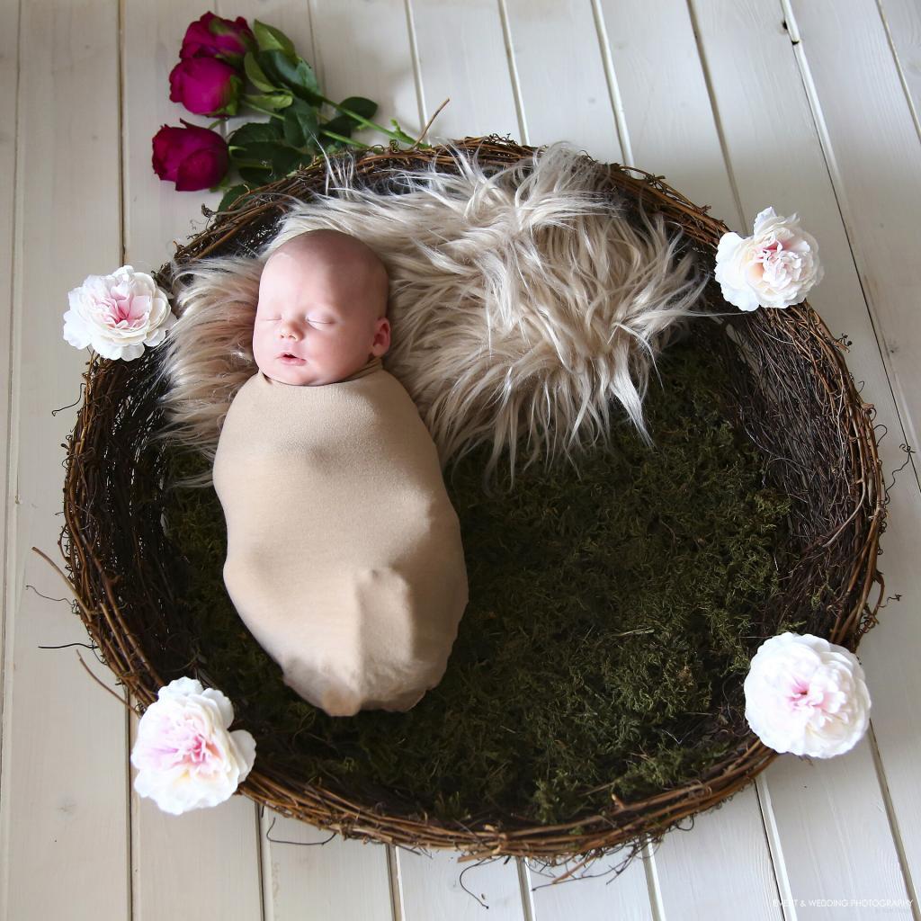 Natural rustic nest bowl newborn baby photo prop
