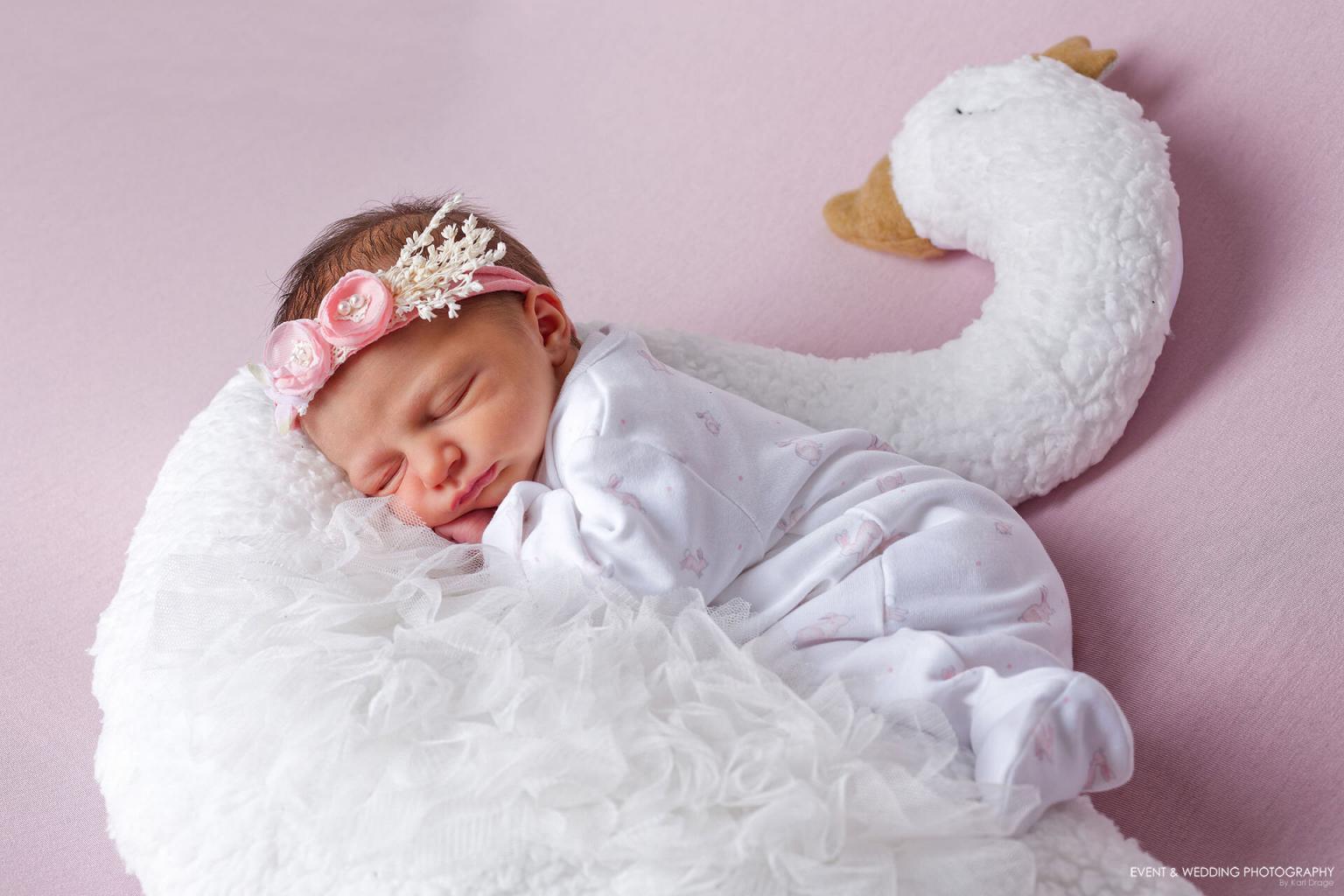 Kettering Newborn Baby Photo Studio: Props – Event And Wedding Photography