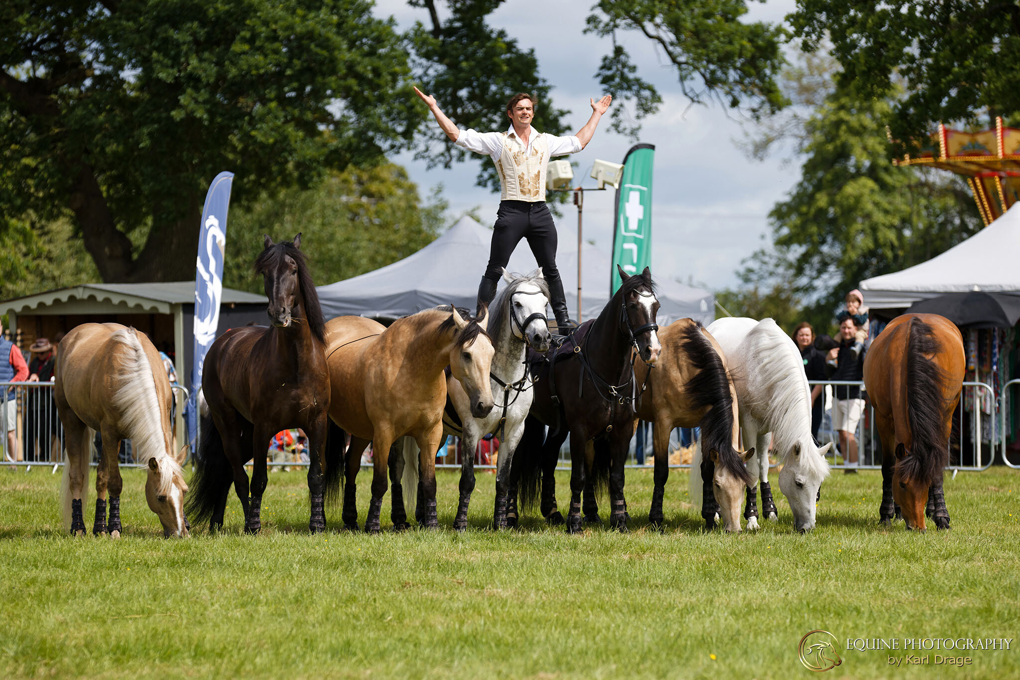 Ben Atkinson Action Horses, stands astride the backs of two horses out of a line of 8 at Lamport Hall Rural Life