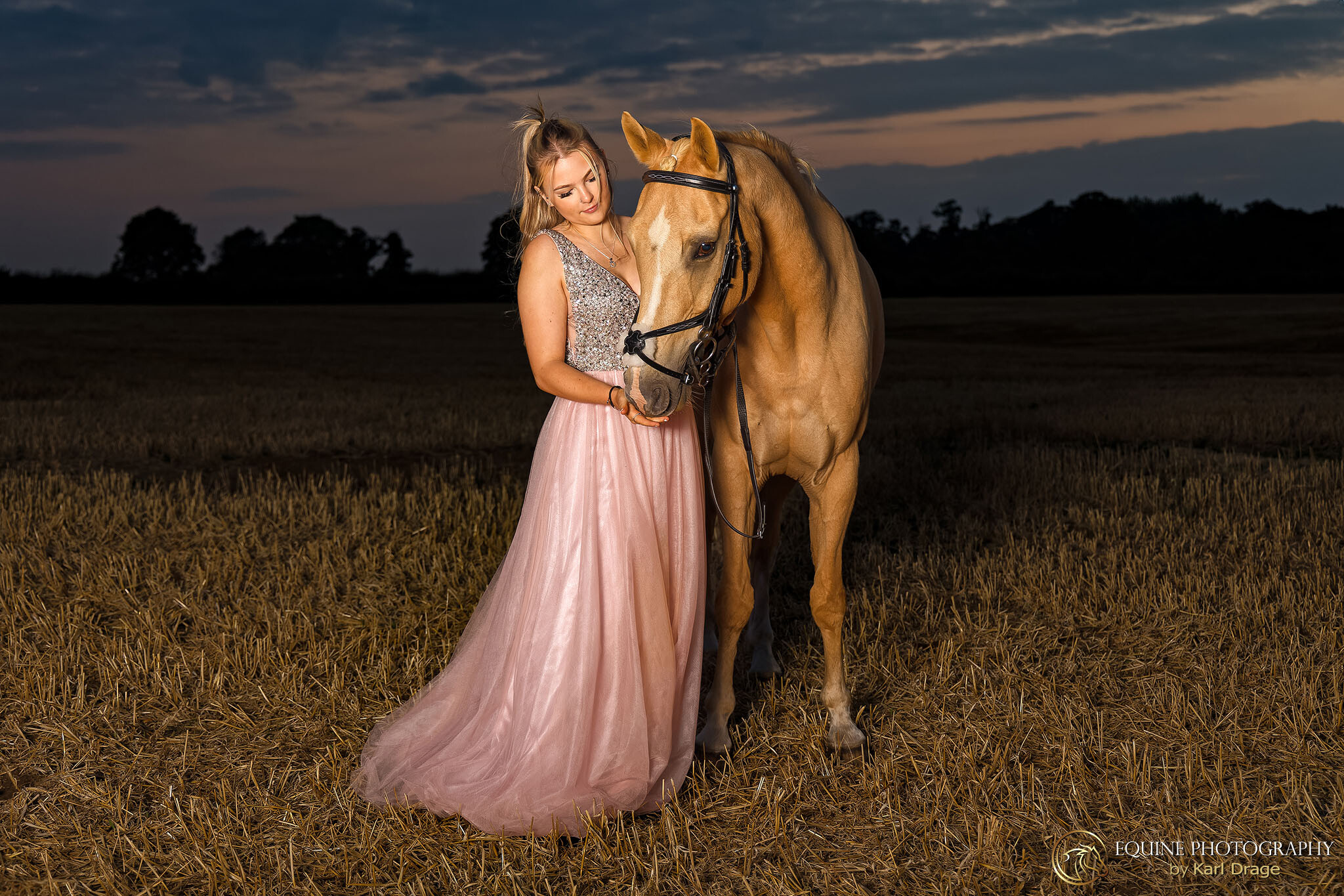 A girl in a pink and silver prom dress poses with her palomino horse during an equine photo shoot near Northampton.