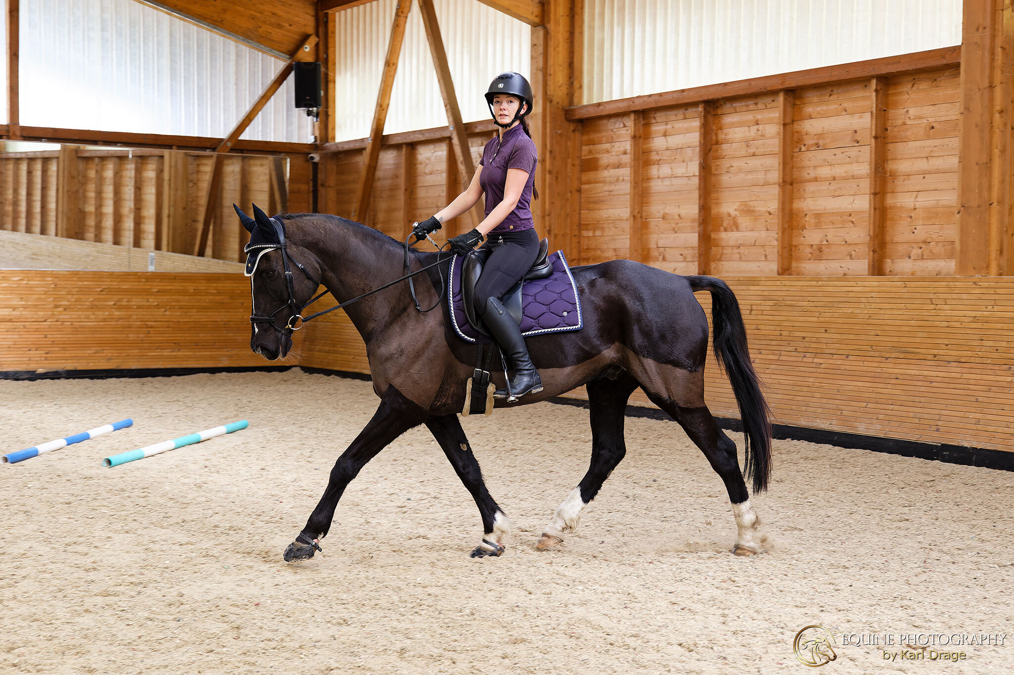 Abbey Farm Dressage - Petros Spiliopoulos clinic